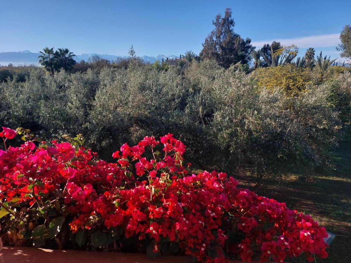 Manzal Lahbab Bed & Breakfast Marrakesh Exterior photo